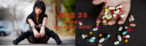 шишки Вязники