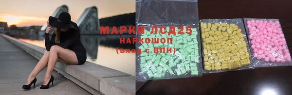 шишки Вязники