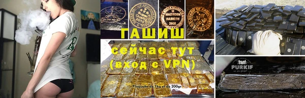 тгк Гусев