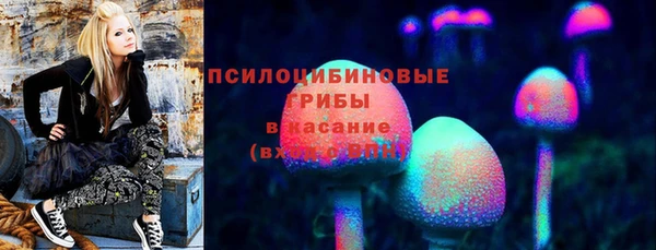 шишки Вязники