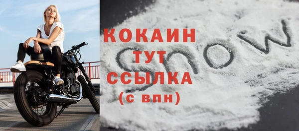 спайс Горняк