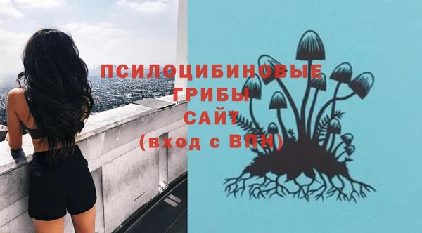 МДПВ Верхний Тагил