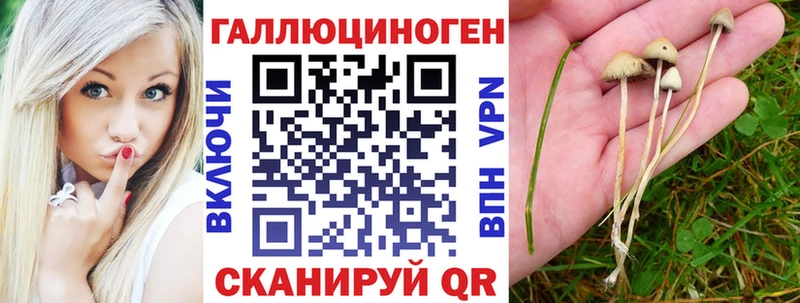 Галлюциногенные грибы ЛСД  darknet состав  Ефремов 